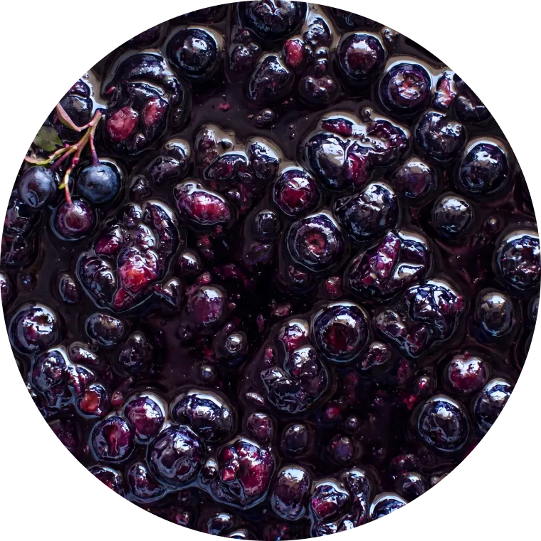 Crushed whole wild bilberries with skins and seeds