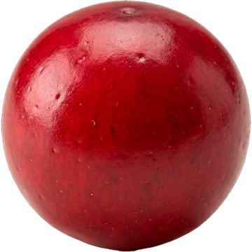 Lingonberry