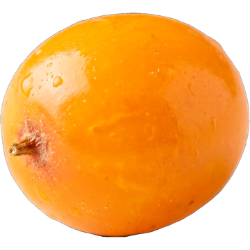 Sea buckthorn berry