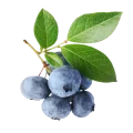 Blueberry product box